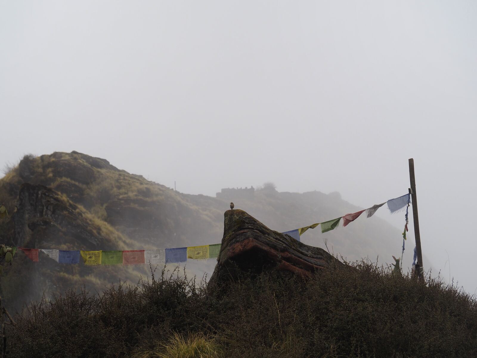 Prayer flags strung across a foggy ridge